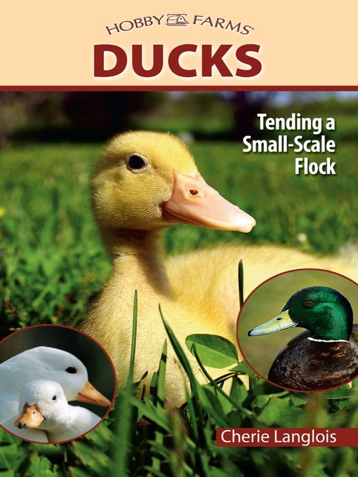 Title details for Ducks by Cherie Langlois - Available